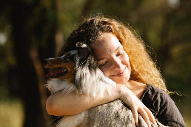 Een hond adopteren: waar, hoe en wat je kunt verwachten