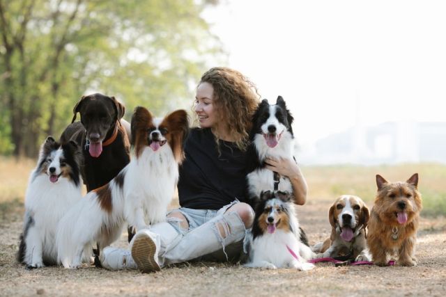 Rasgedrag bij honden: waarom elke hond toch weer anders is